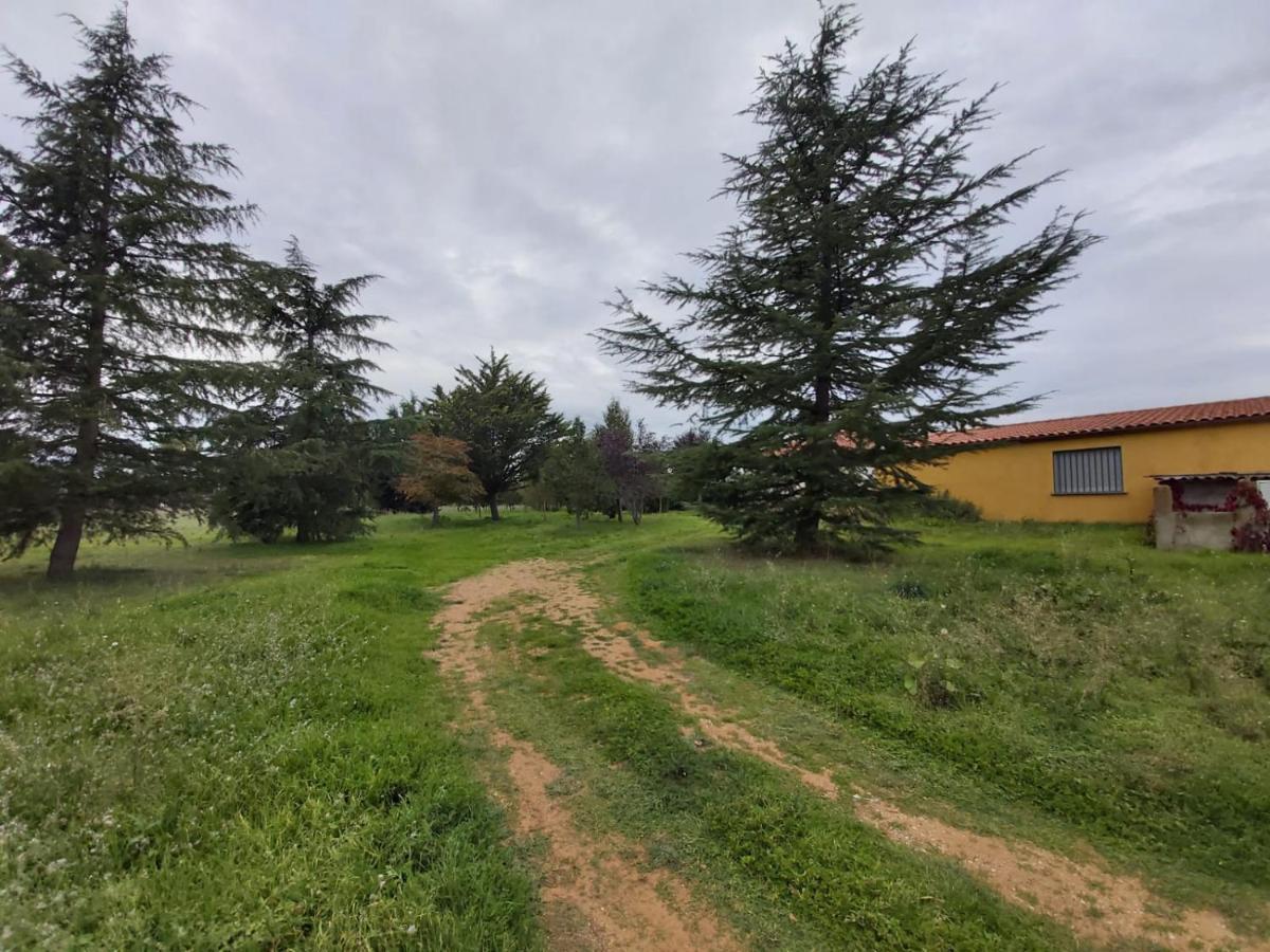 Casa En El Campo Holiday home Barbadillo