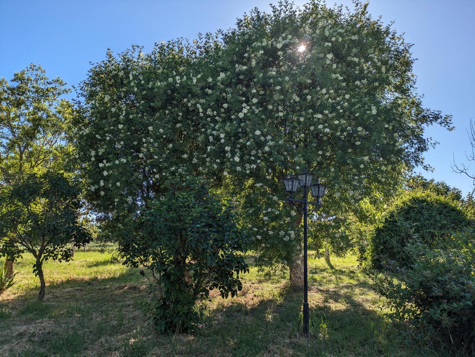 Casa En El Campo *