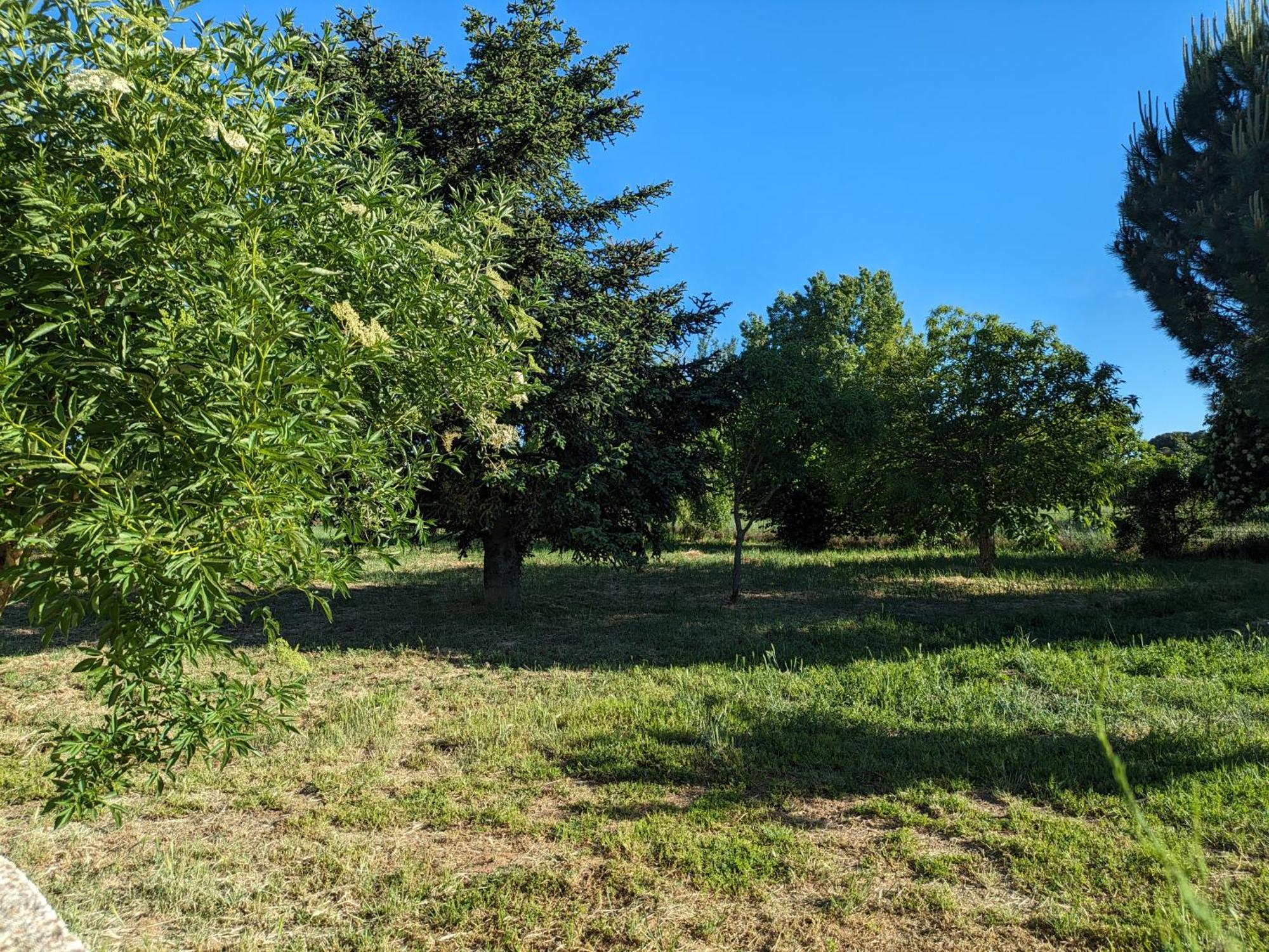Casa En El Campo * Barbadillo